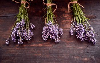 drei Lavendelbündel auf dem Tisch